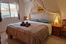 House in Riumar - Cologne