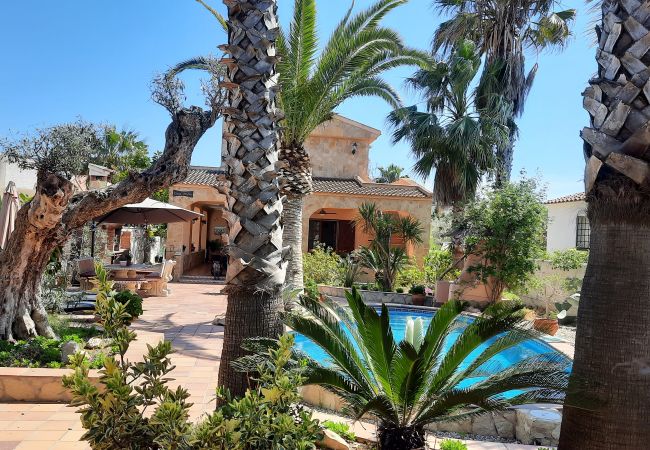 House in Riumar - Pedro House in Riumar - Pedro