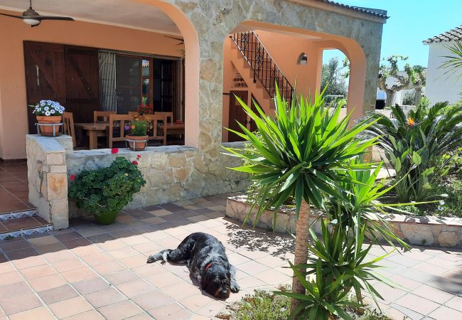 House in Riumar - Pedro House in Riumar - Pedro