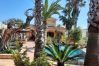 House in Riumar - Pedro House in Riumar - Pedro