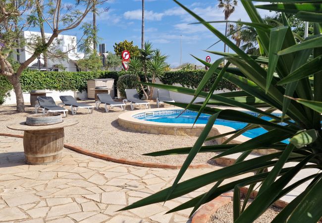 Casa en Riumar - Primavera Casa en Riumar - Primavera