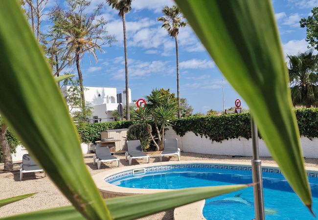 Casa en Riumar - Primavera Casa en Riumar - Primavera