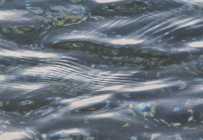 Maison à Riumar - Agostino Maison à Riumar - Agostino