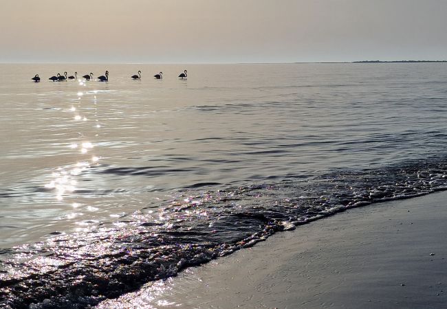 Maison à Riumar - Agostino Maison à Riumar - Agostino