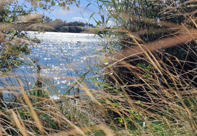 Maison à Riumar - Agostino Maison à Riumar - Agostino