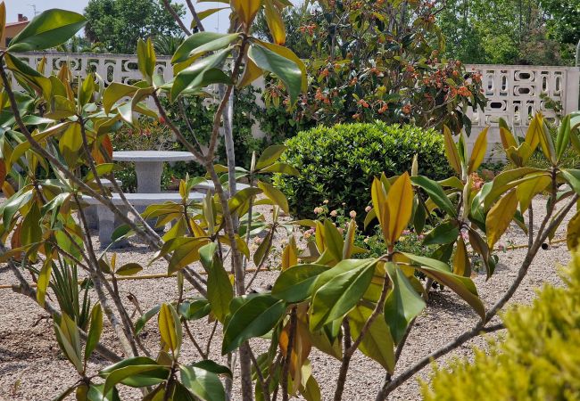 Maison à Riumar - La Siesta Maison à Riumar - La Siesta