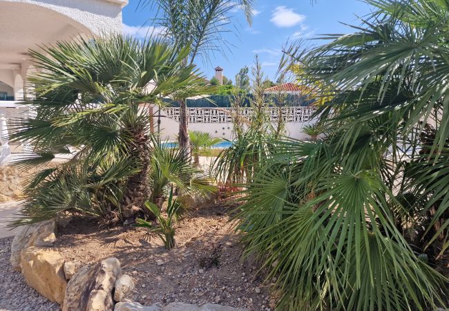 Maison à Riumar - Marianna Maison à Riumar - Marianna