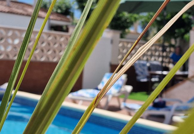 Maison à Riumar - Trini Maison à Riumar - Trini