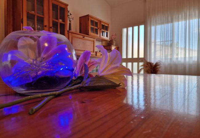 Maison à Riumar - Belmar Maison à Riumar - Belmar