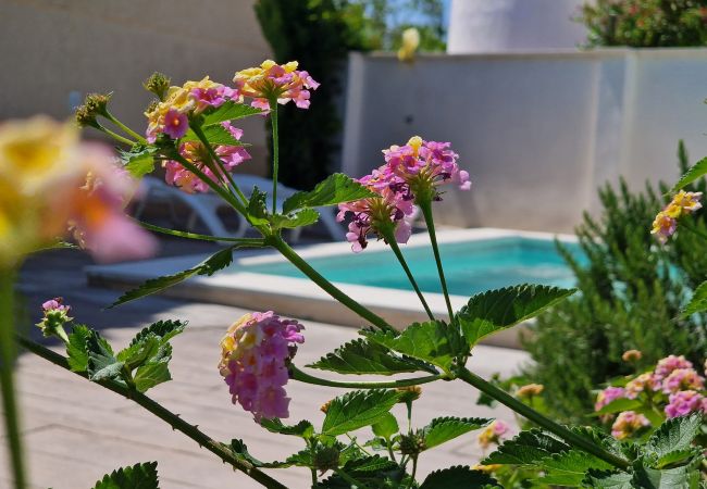 Maison à Riumar - Belmar Maison à Riumar - Belmar