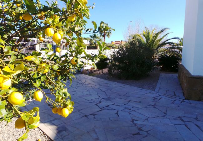 Ferienhaus in Riumar - La Siesta Ferienhaus in Riumar - La Siesta