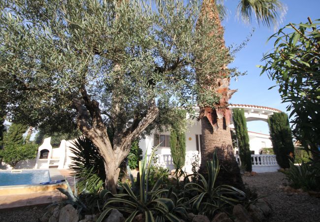 Ferienhaus in Riumar - Lorenzo Ferienhaus in Riumar - Lorenzo