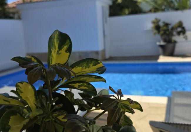 Ferienhaus in Riumar - Gecko Ferienhaus in Riumar - Gecko