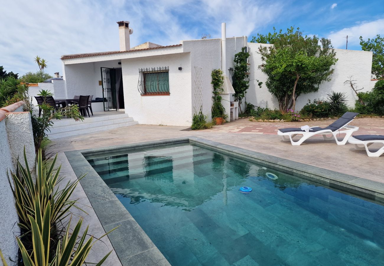 Blauer Pool eingebettet in einen grünen Garten mit modernen Liegestühlen 